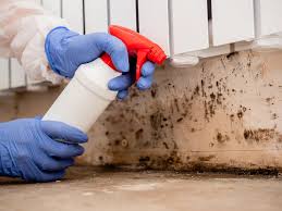 Best Indoor Air Quality Assessment in Port Byron, NY